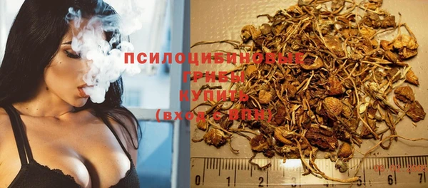 прущая мука Абаза